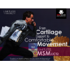 LIMITLESS MSM UCT2 SUPPORTS HEALTHY JOINTS & CONNECTIVE TISSUES — DIETARY SUPPLEMENT 30 TABLETS